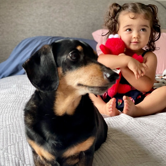 💟💟💟 - Picture 6 of 8